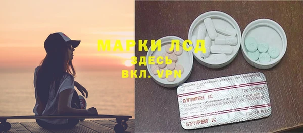 шишки Коряжма