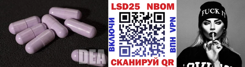 гидра маркетплейс  Шилка  это официальный сайт  Лсд 25 экстази кислота 