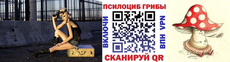 Галлюциногенные грибы Psilocybe  Шилка 